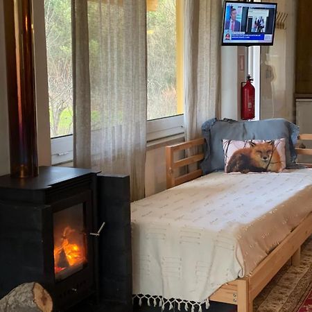 Villa Loft - Casinha à Porta Arouca Esterno foto