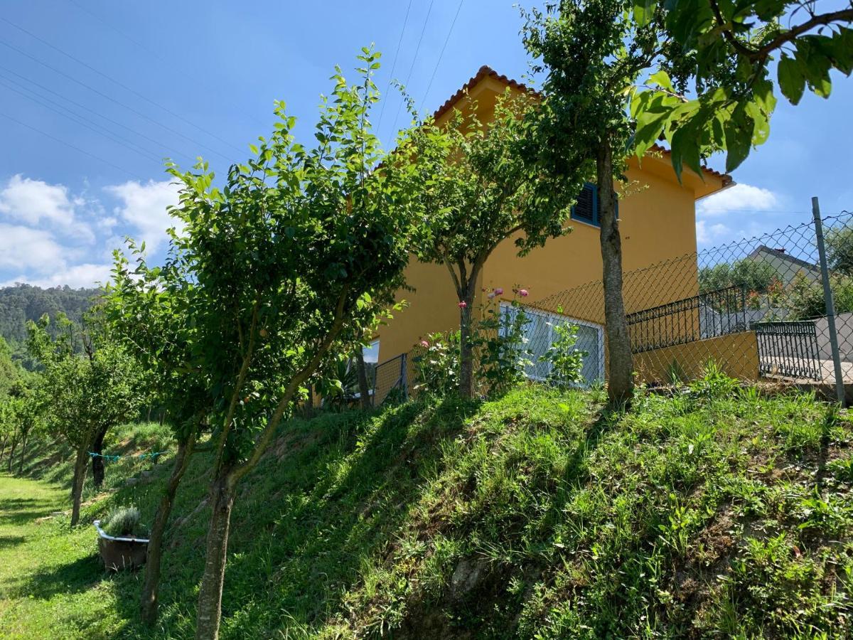 Villa Loft - Casinha à Porta Arouca Esterno foto